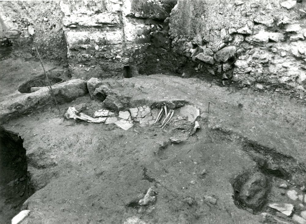 Scavo Carandini - 22-11-95 - foto 003.jpg