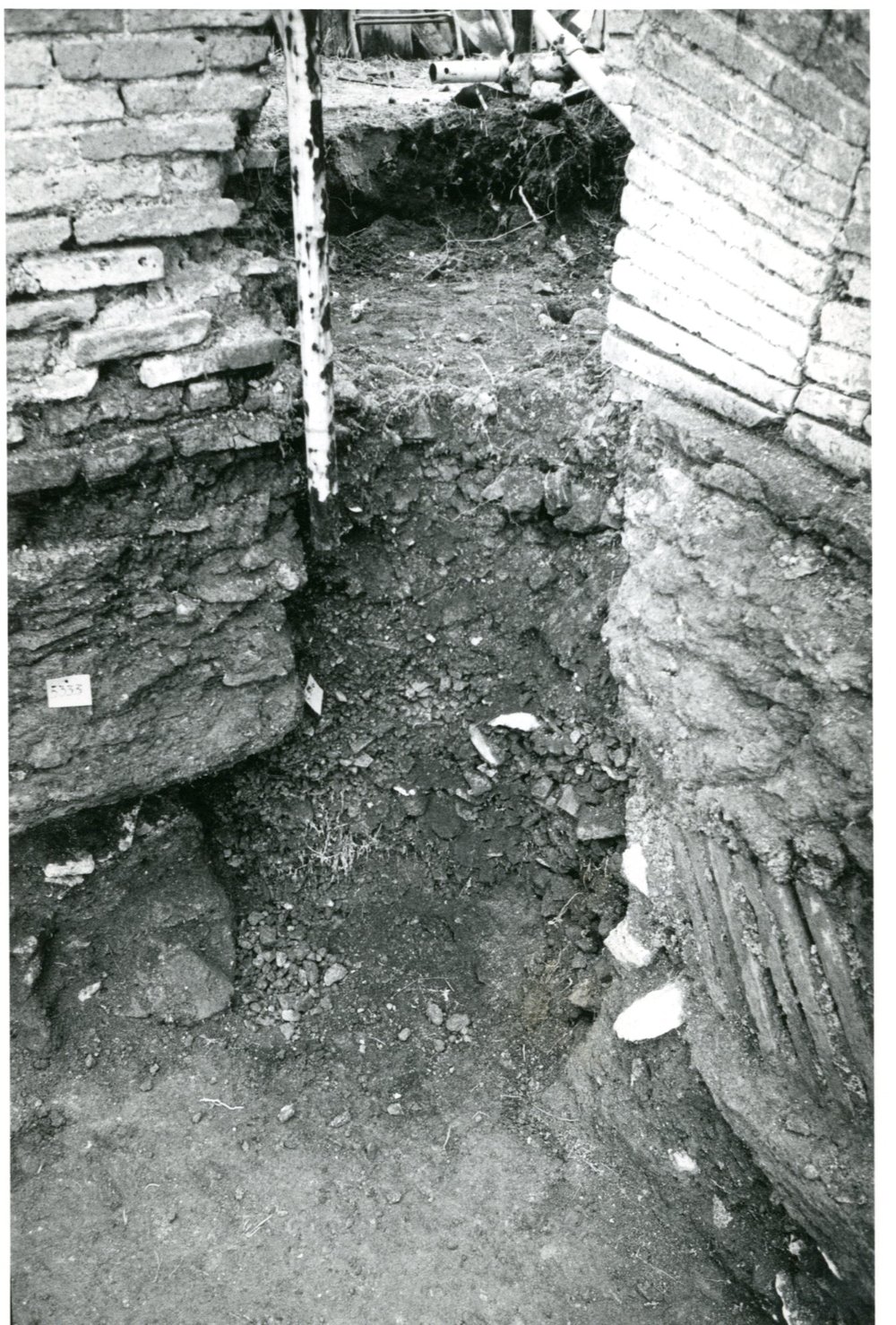 Scavo Carandini - Foto 018.jpg