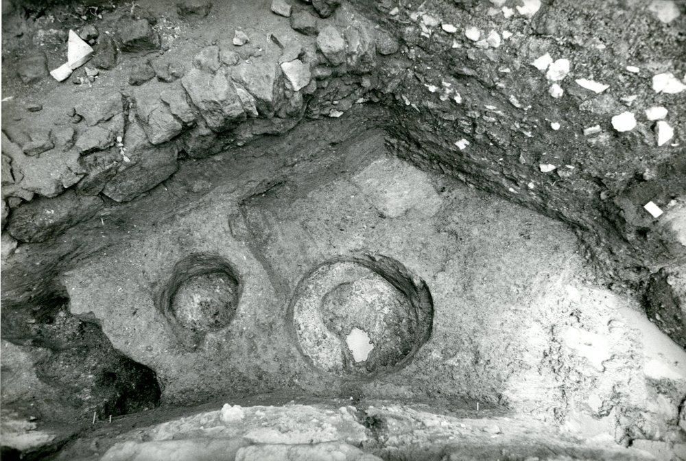 Scavo Carandini - 6-9-95 - foto 003.jpg