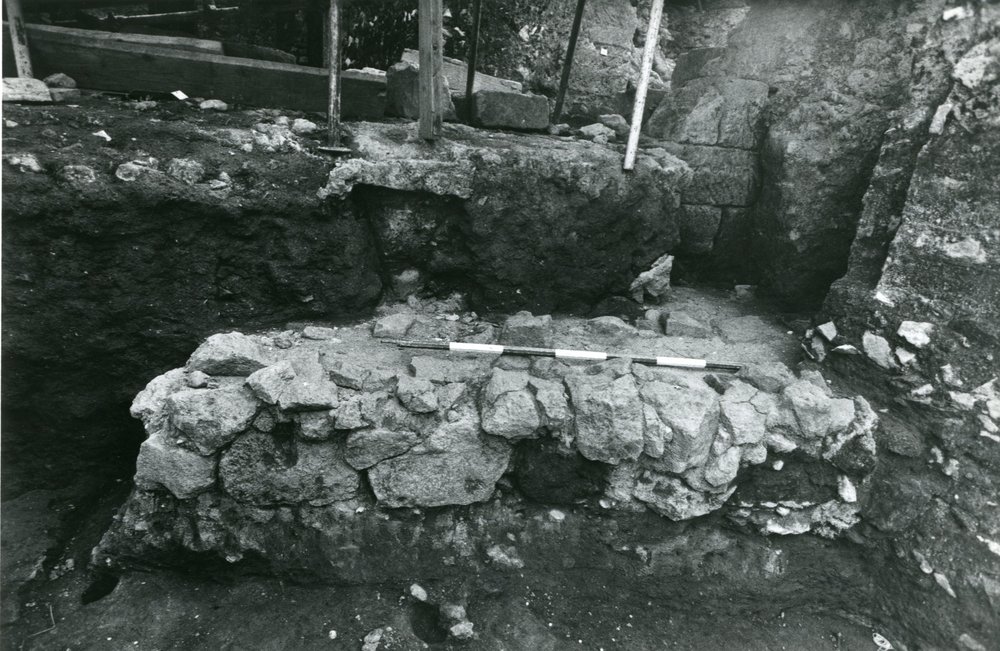 Scavo Carandini - foto 003.jpg
