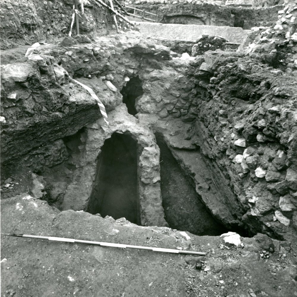 Scavo Carandini - Pendici settentrionali del Palatino - Area V - fine campagna 1994.jpg