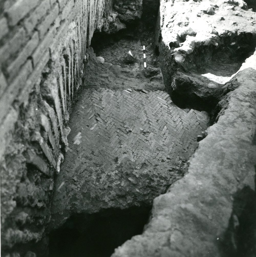 Scavo Carandini - foto 001.jpg