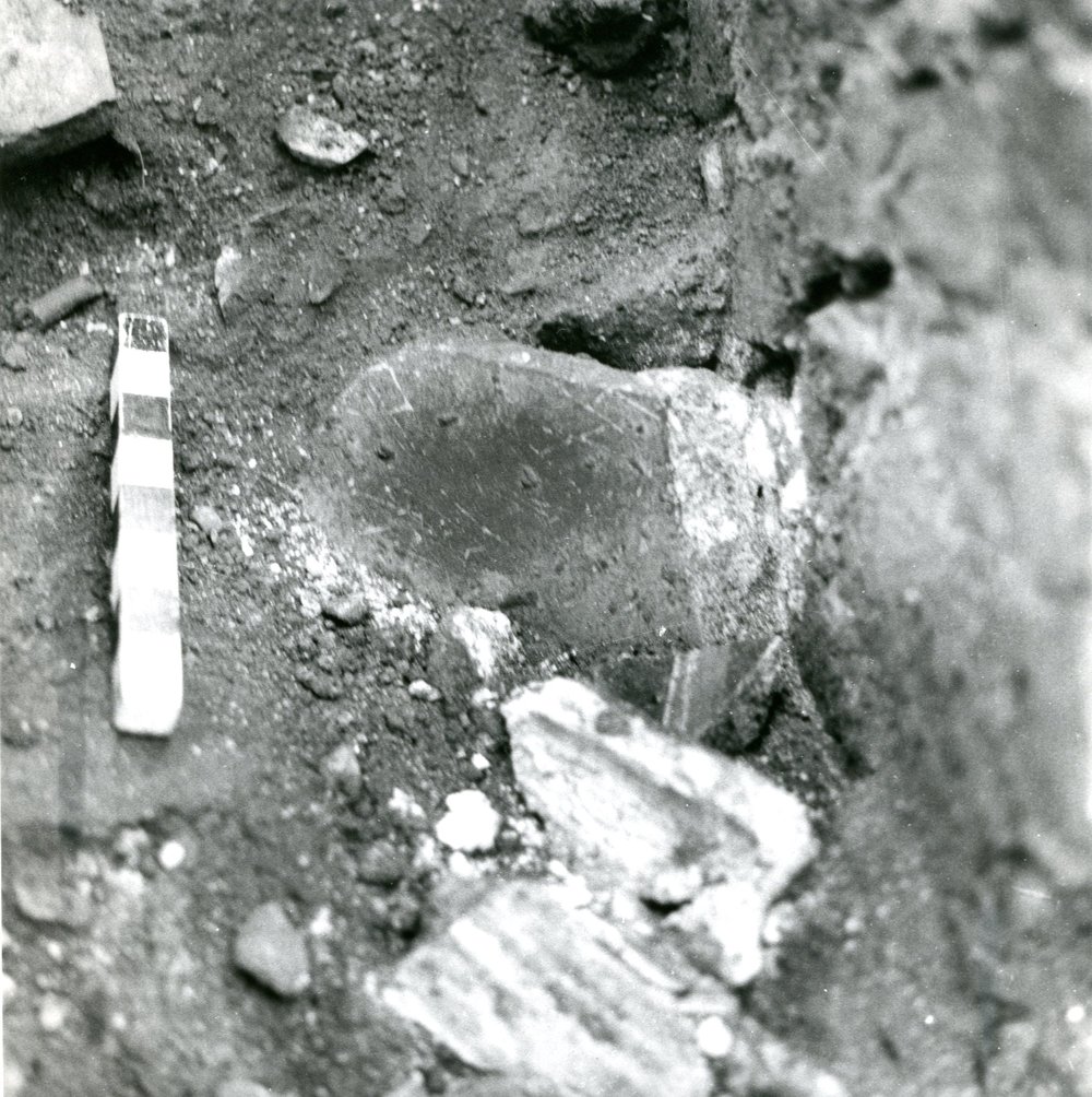 Scavo Carandini - foto 003.jpg