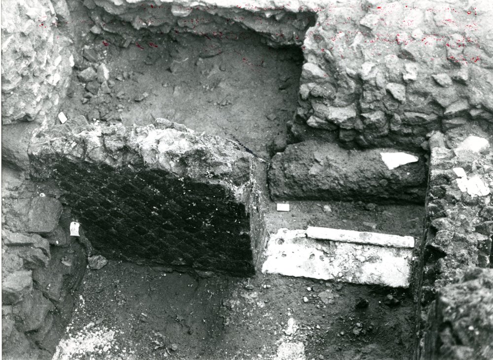 FI8070~1.JPG