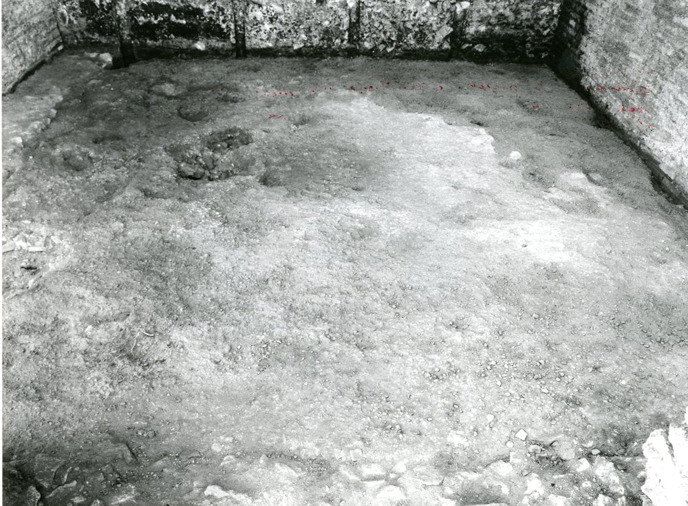 film 1546 - Porticus Margaritaria - Palatino - Via Sacra - scavo Carandini - autunno 1985.jpg