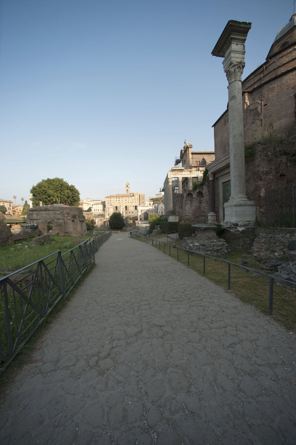 DSC_2561.JPG
