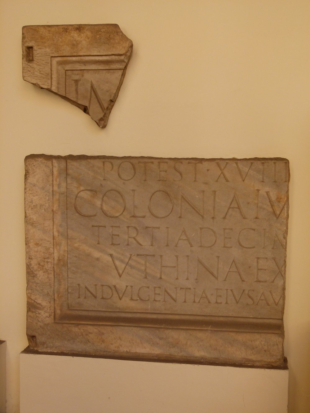 P1040246.JPG