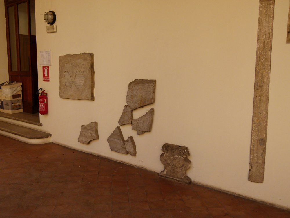 P1040233.JPG