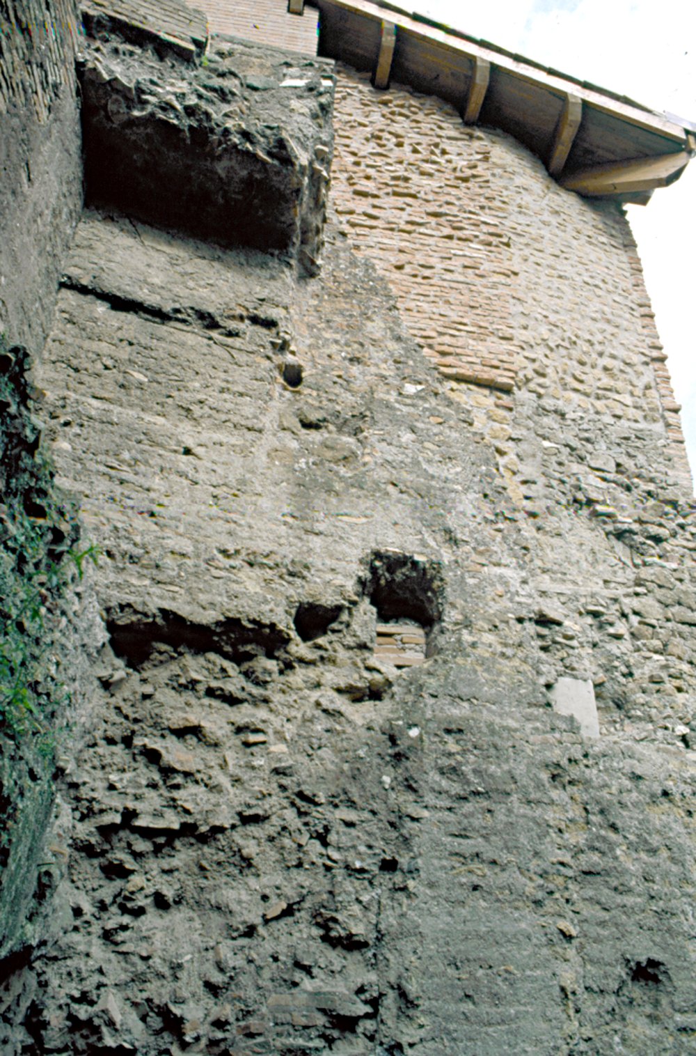 Fig.10.tif