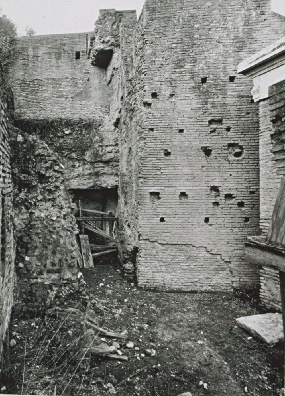 Fig.06.tif