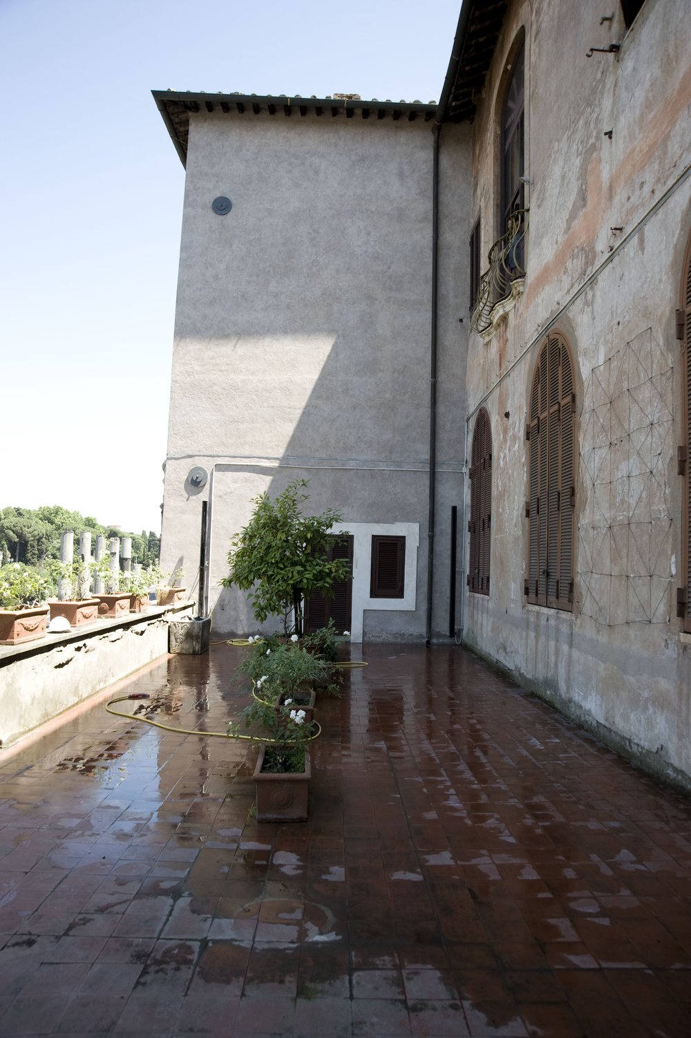 DSC_6310.JPG