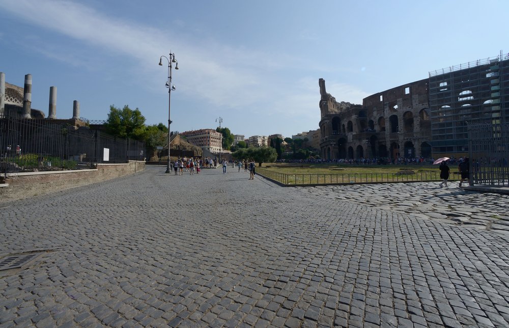 DSC_1610.JPG