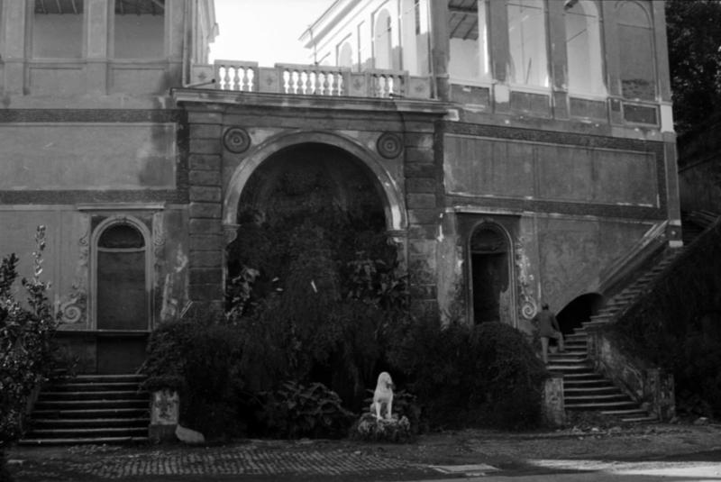 1-00015/ 07557/ 16785 - Roma - Palatino - Horti Farnesiani - Uccelliere