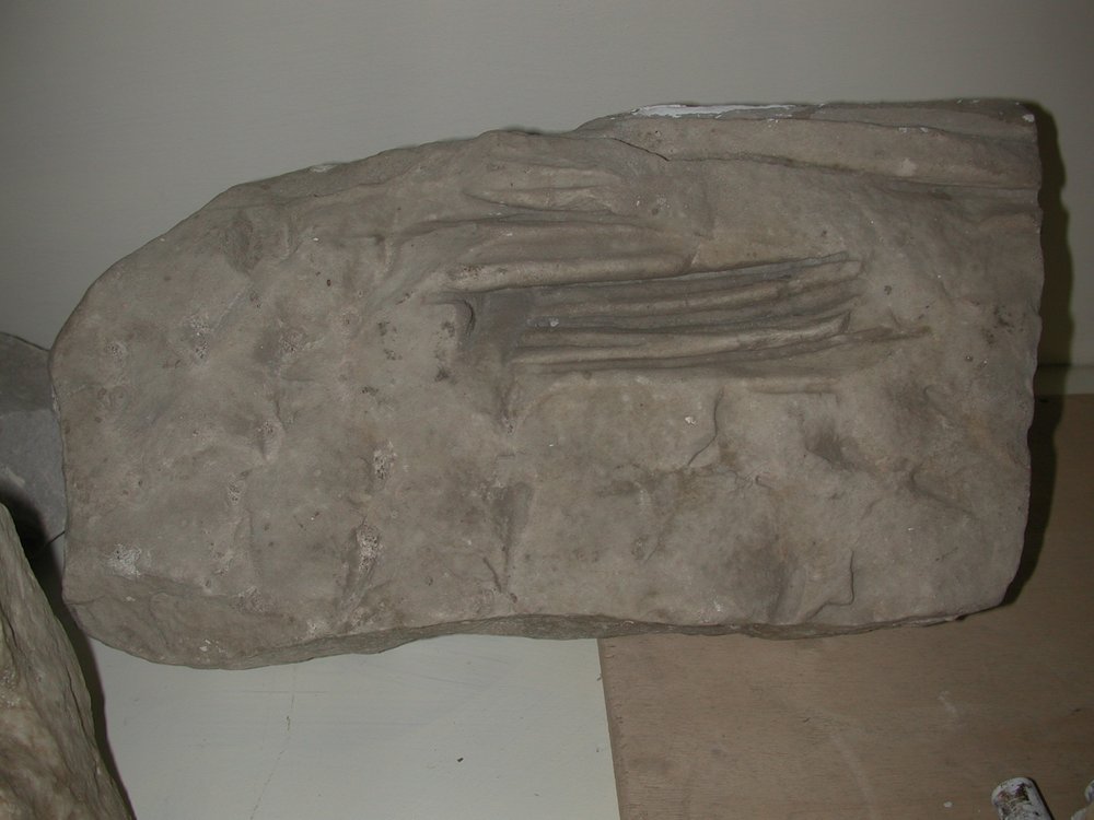 DSCN3140.JPG