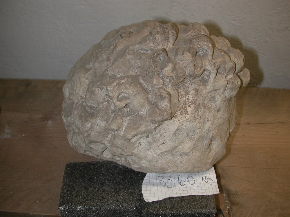 inv.3360.JPG