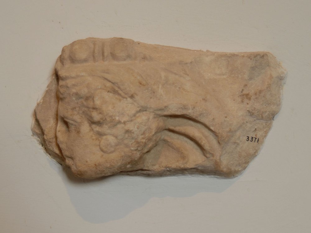 DSC_0096.JPG