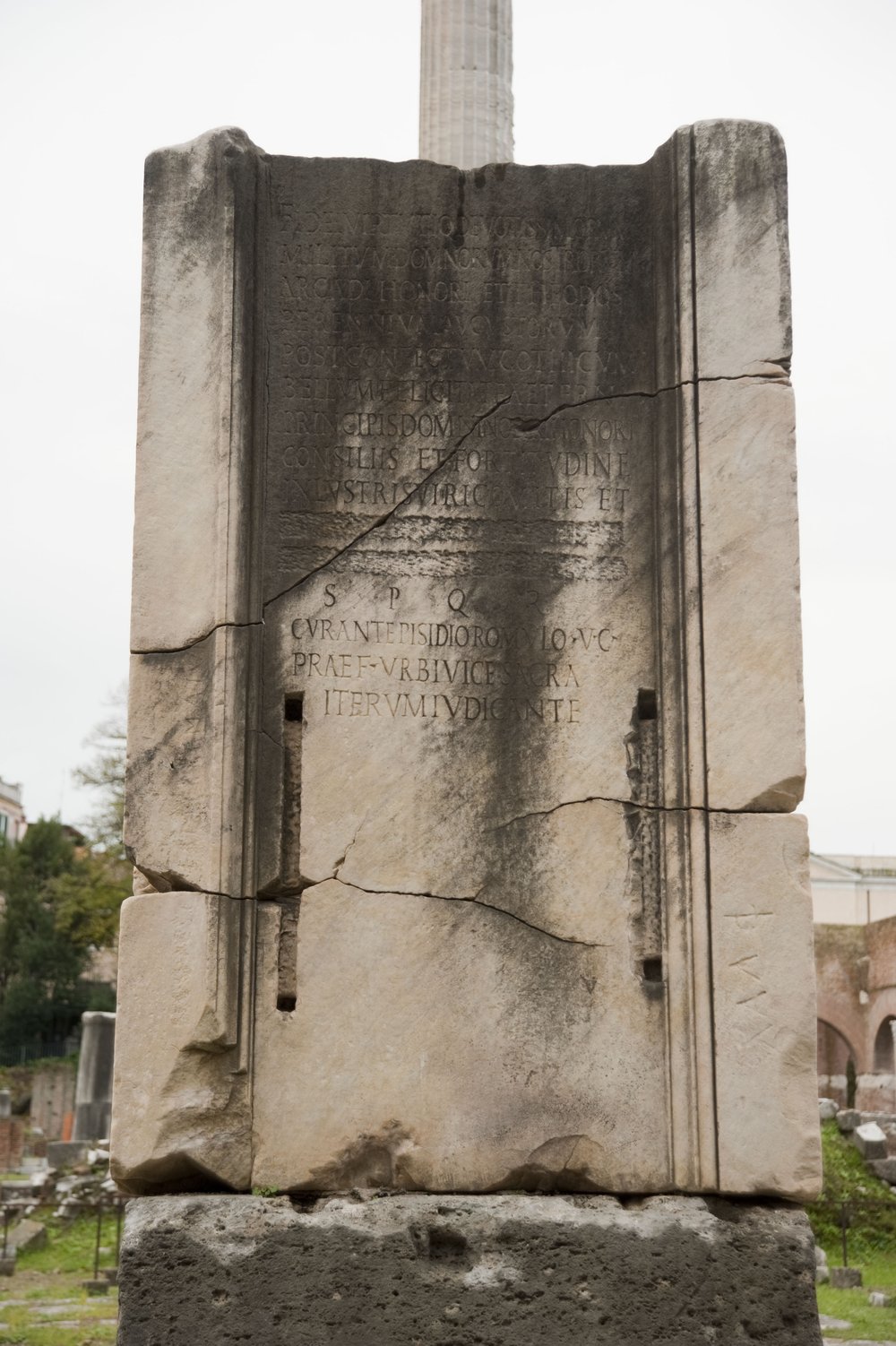 DSC_9881.jpg