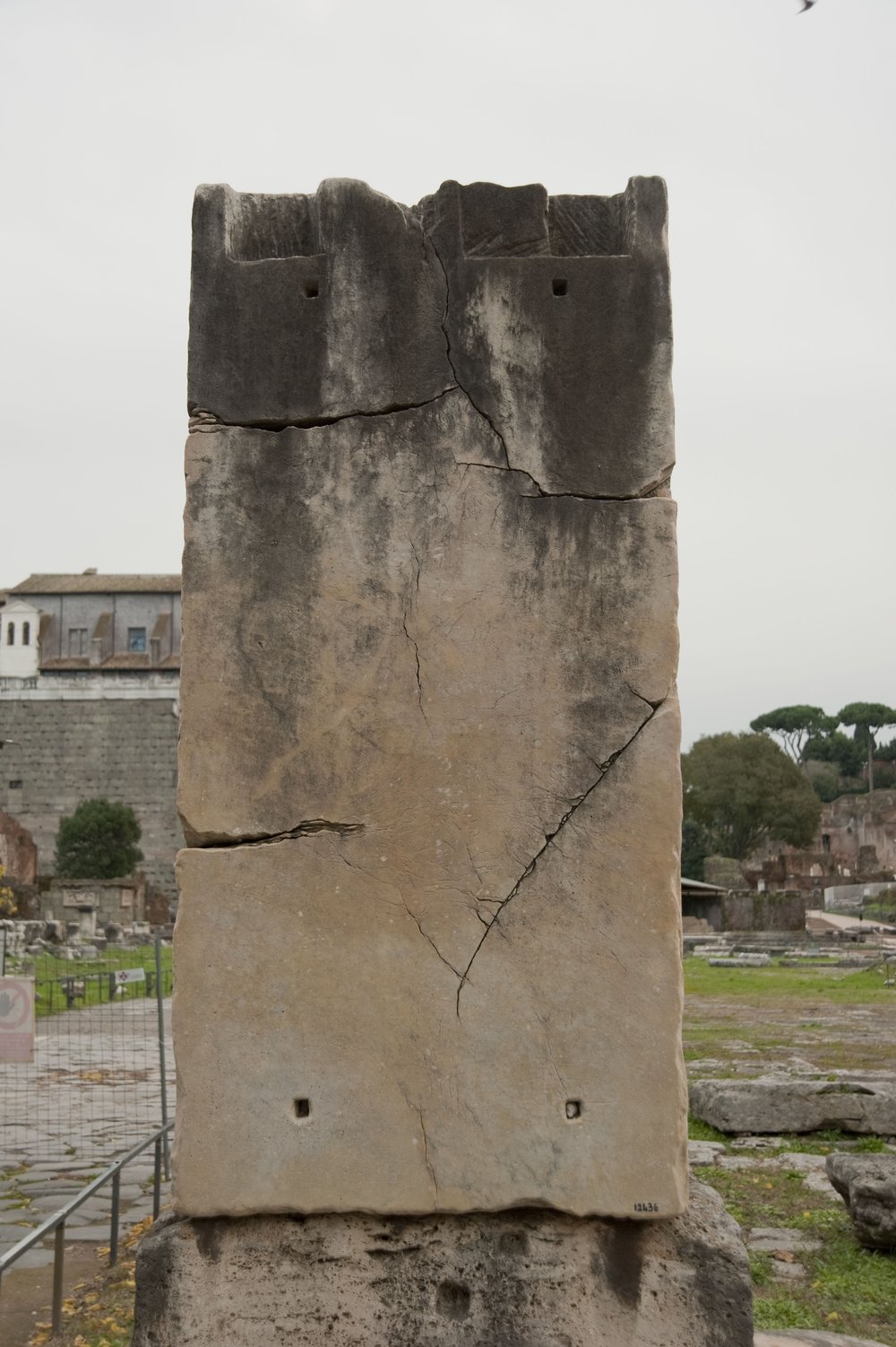 DSC_9884.jpg