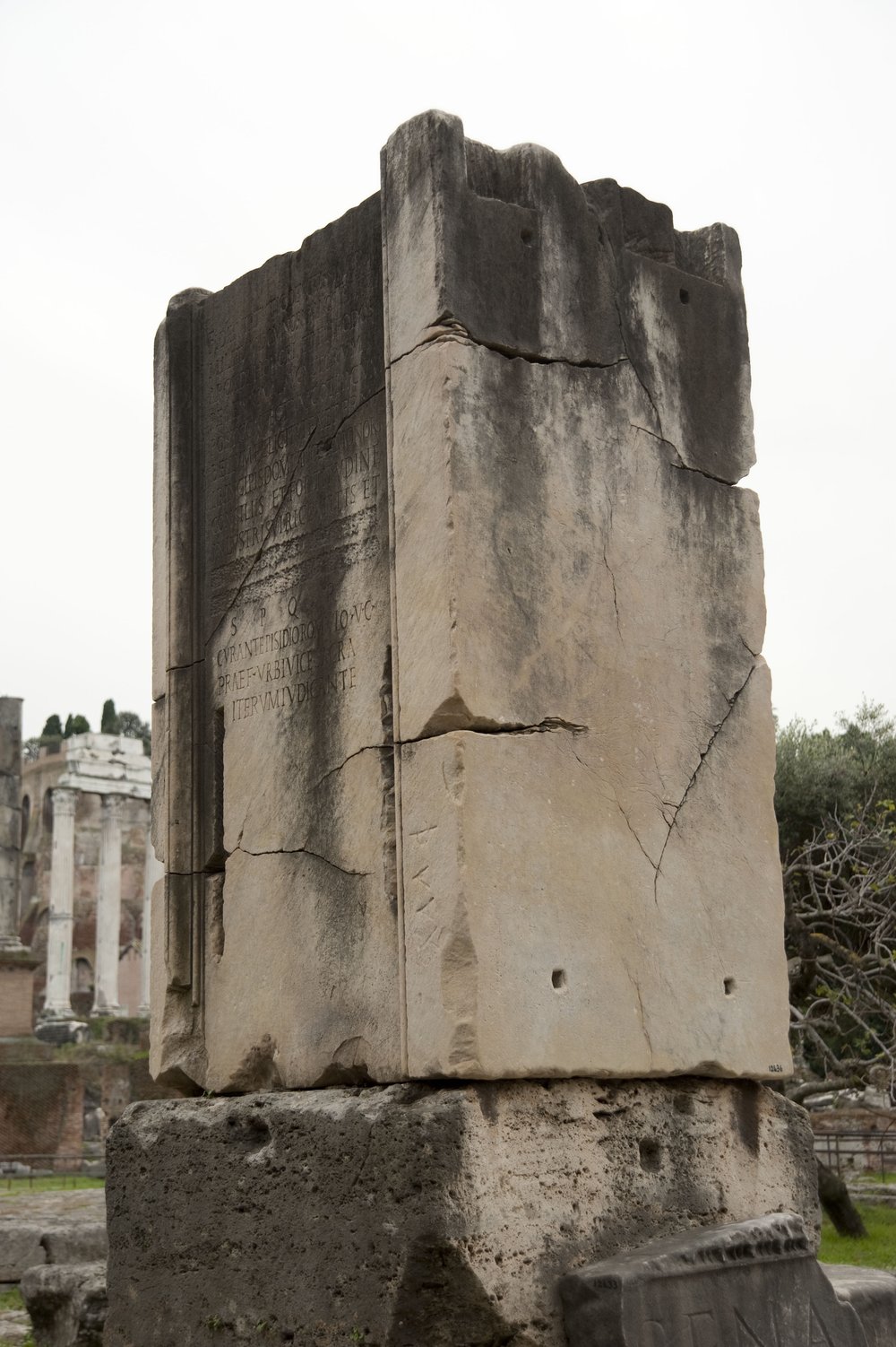 DSC_9882.jpg