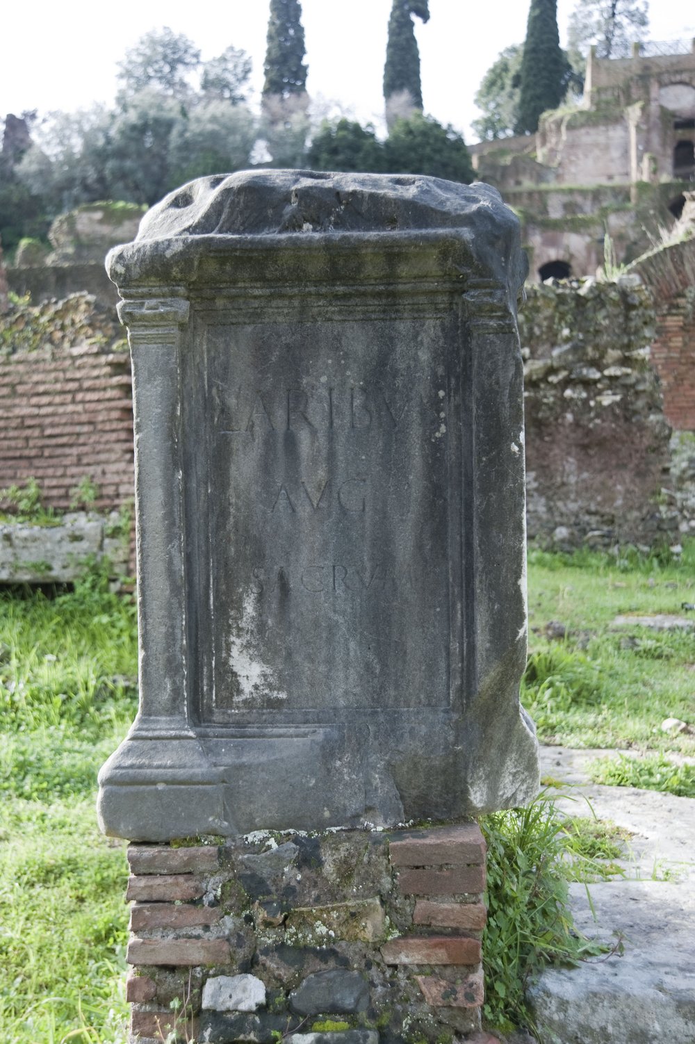 DSC_0293.jpg