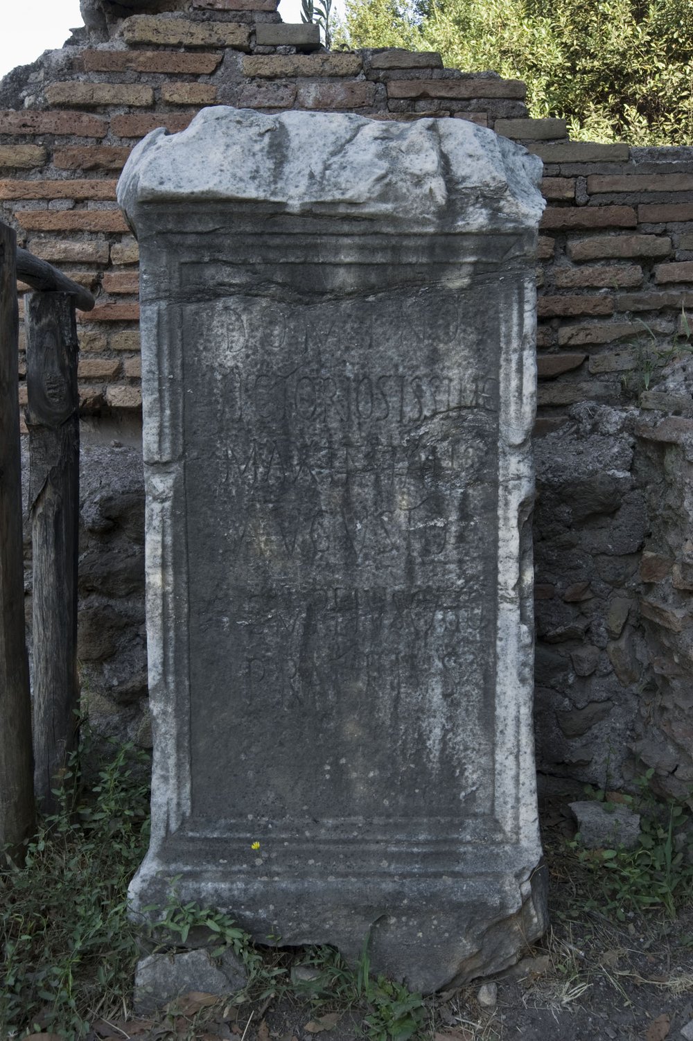 DSC_4437.jpg