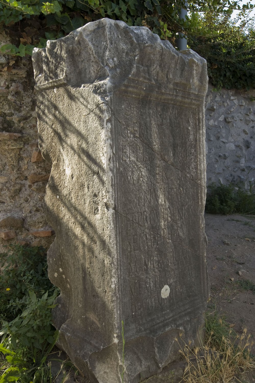 12521a.jpg