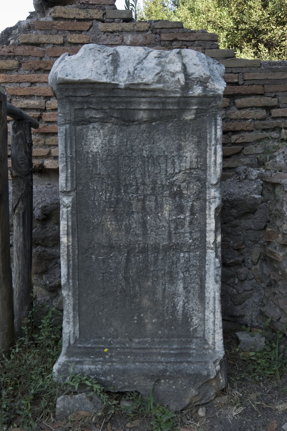 DSC_4437.jpg
