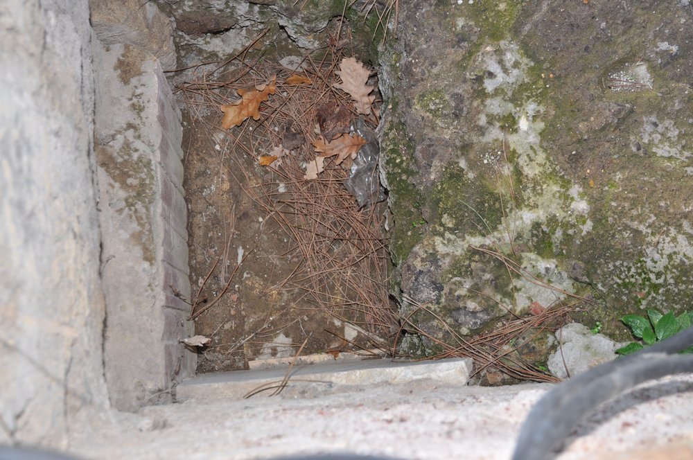 DSC_0169.JPG