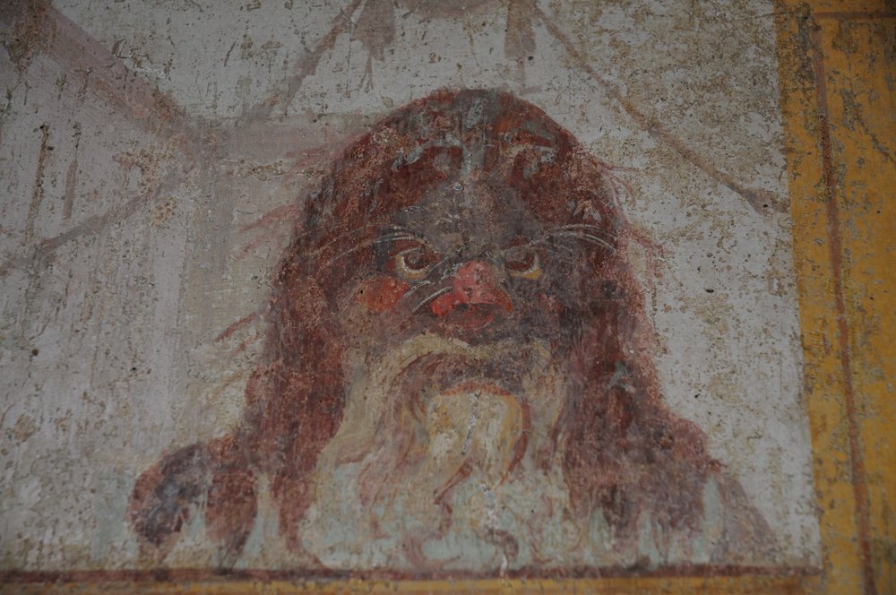 DSC_7037.JPG