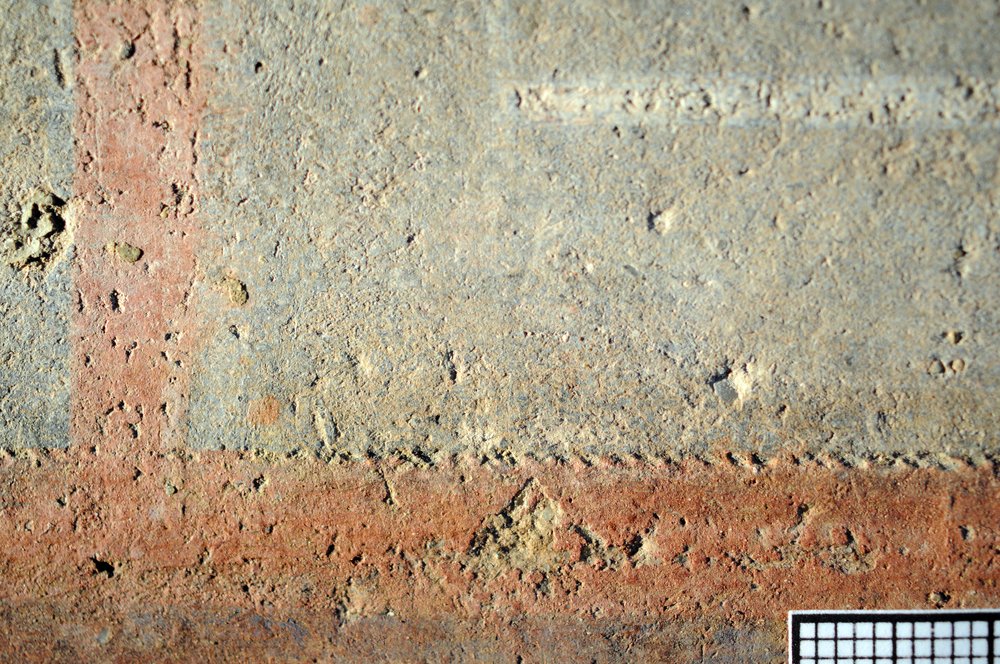 DSC_6937.JPG