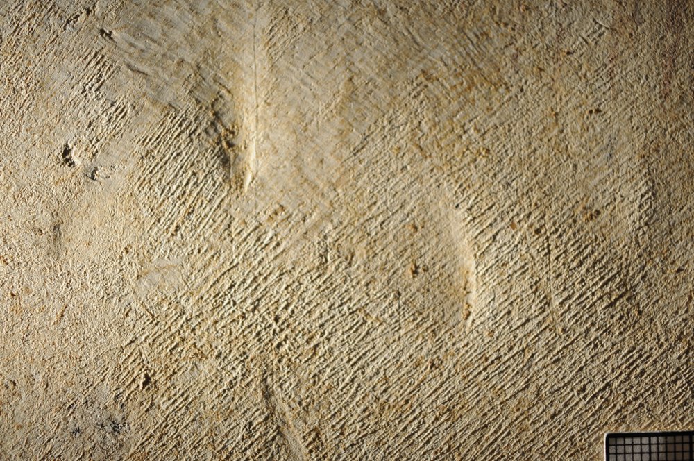 DSC_7071.JPG