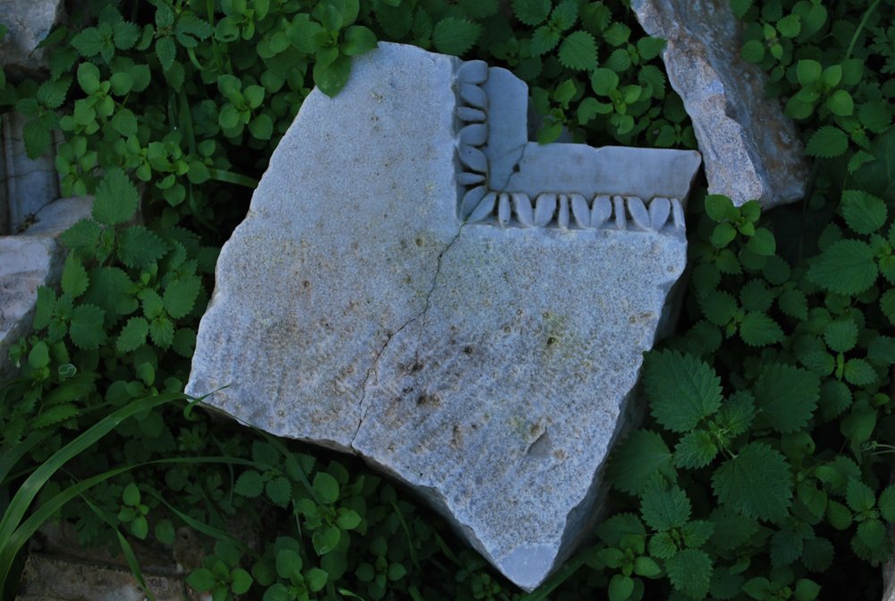 566774.jpg