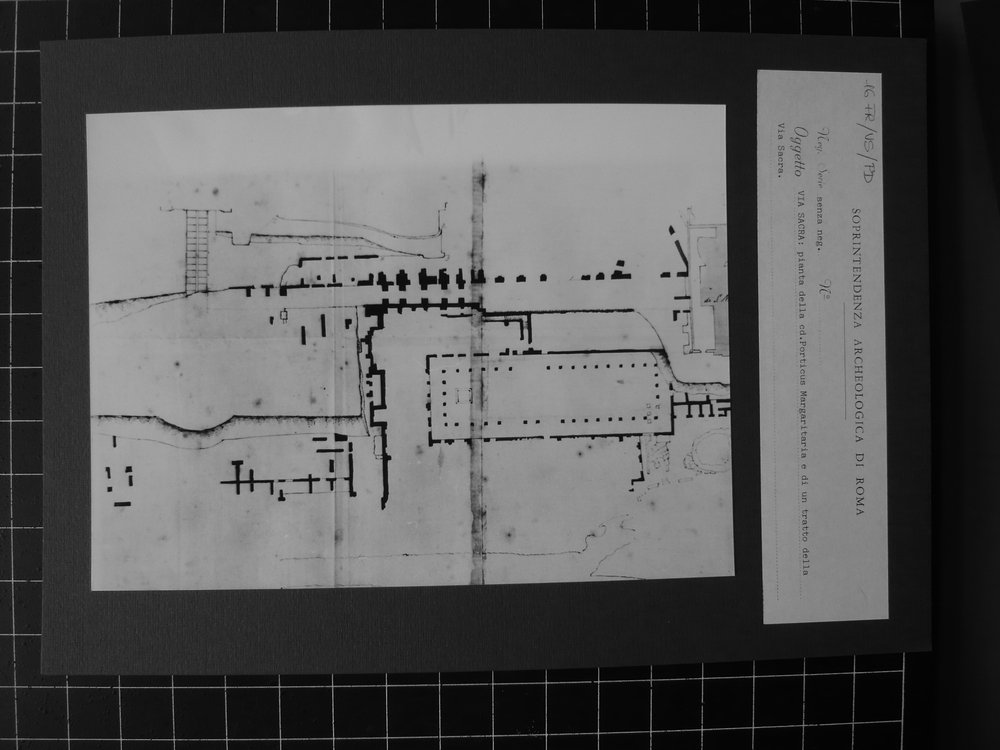 P1050100.JPG
