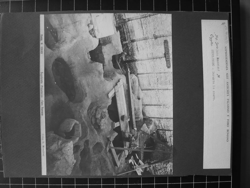 P1050132.JPG