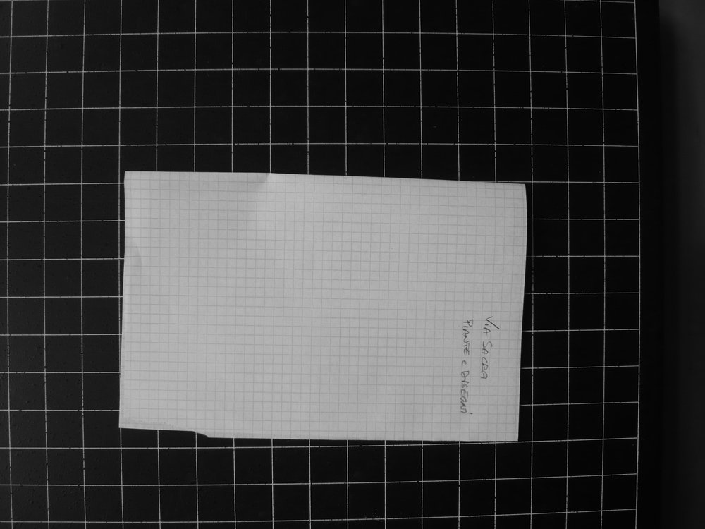 P1050096.JPG