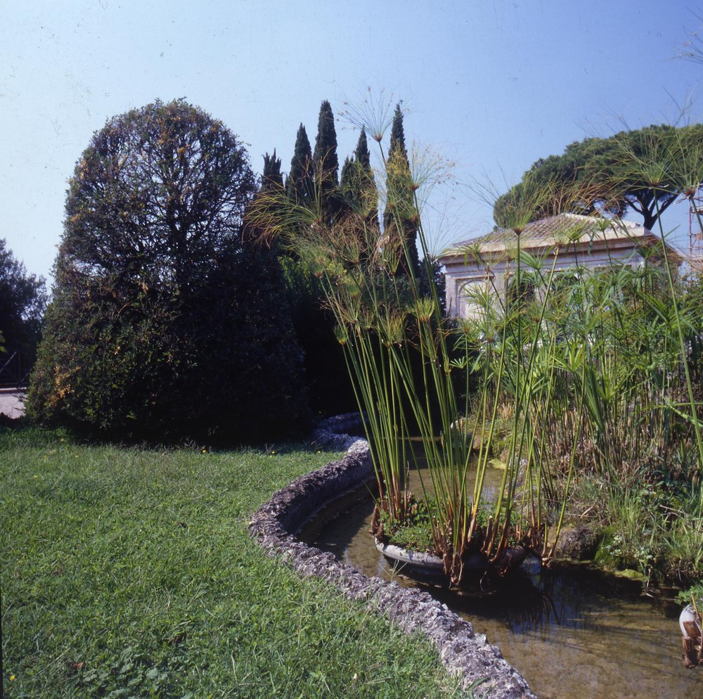diap.1foto L. Mozzano 2005.jpg