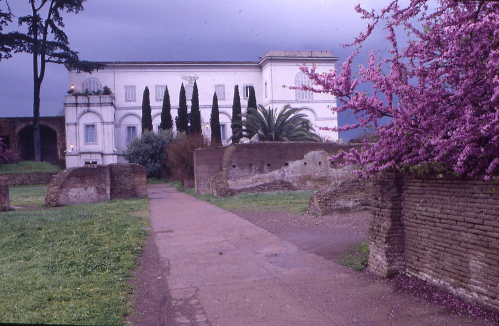 museo palatino.jpg
