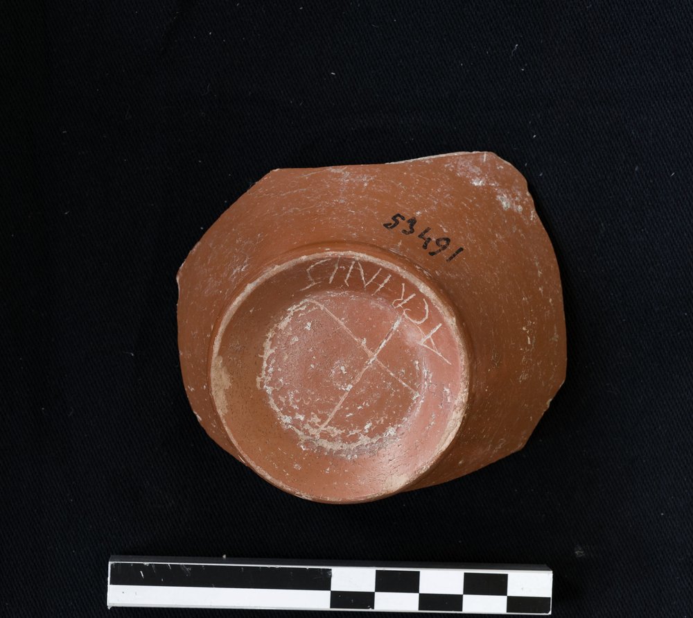 53491a.jpg