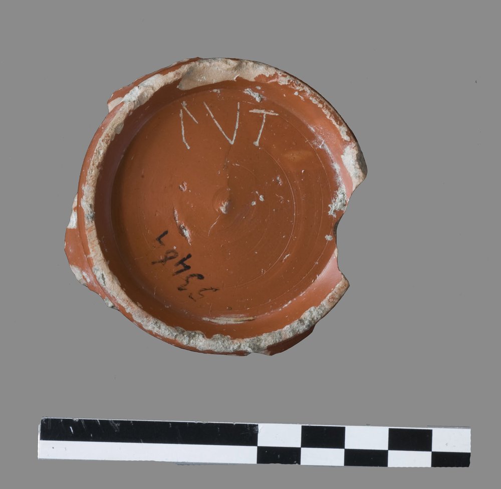 53484a.jpg