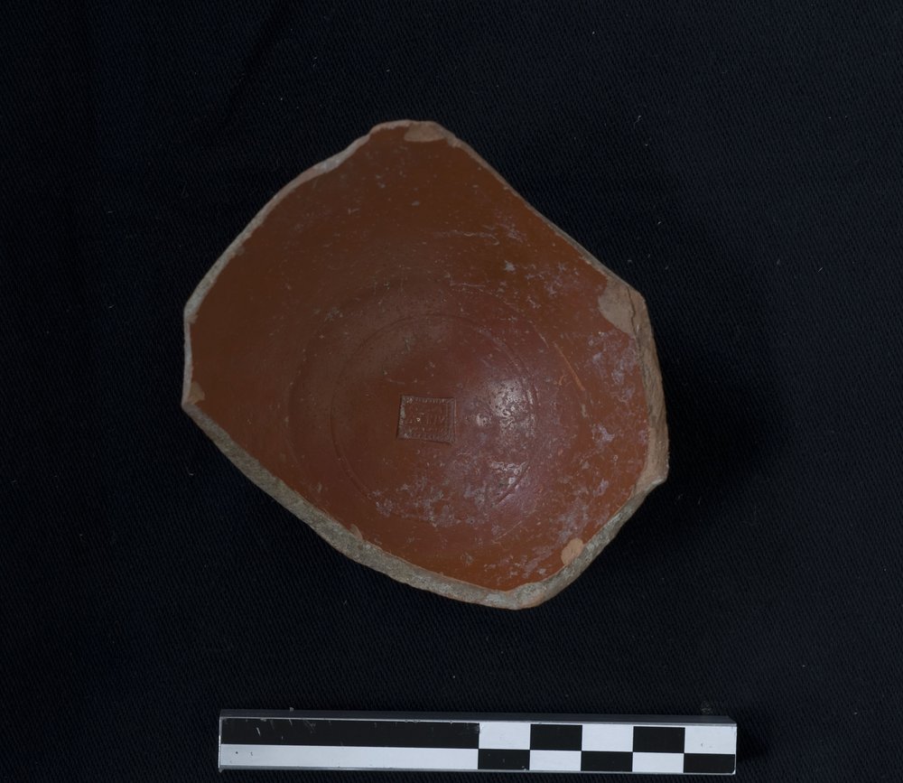 53491b.jpg