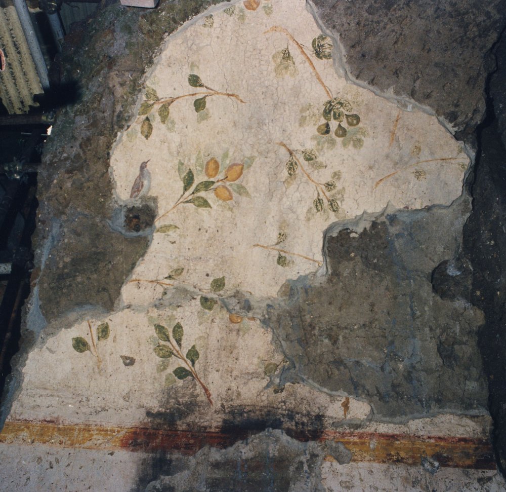Dt pittura giardino[1].jpg
