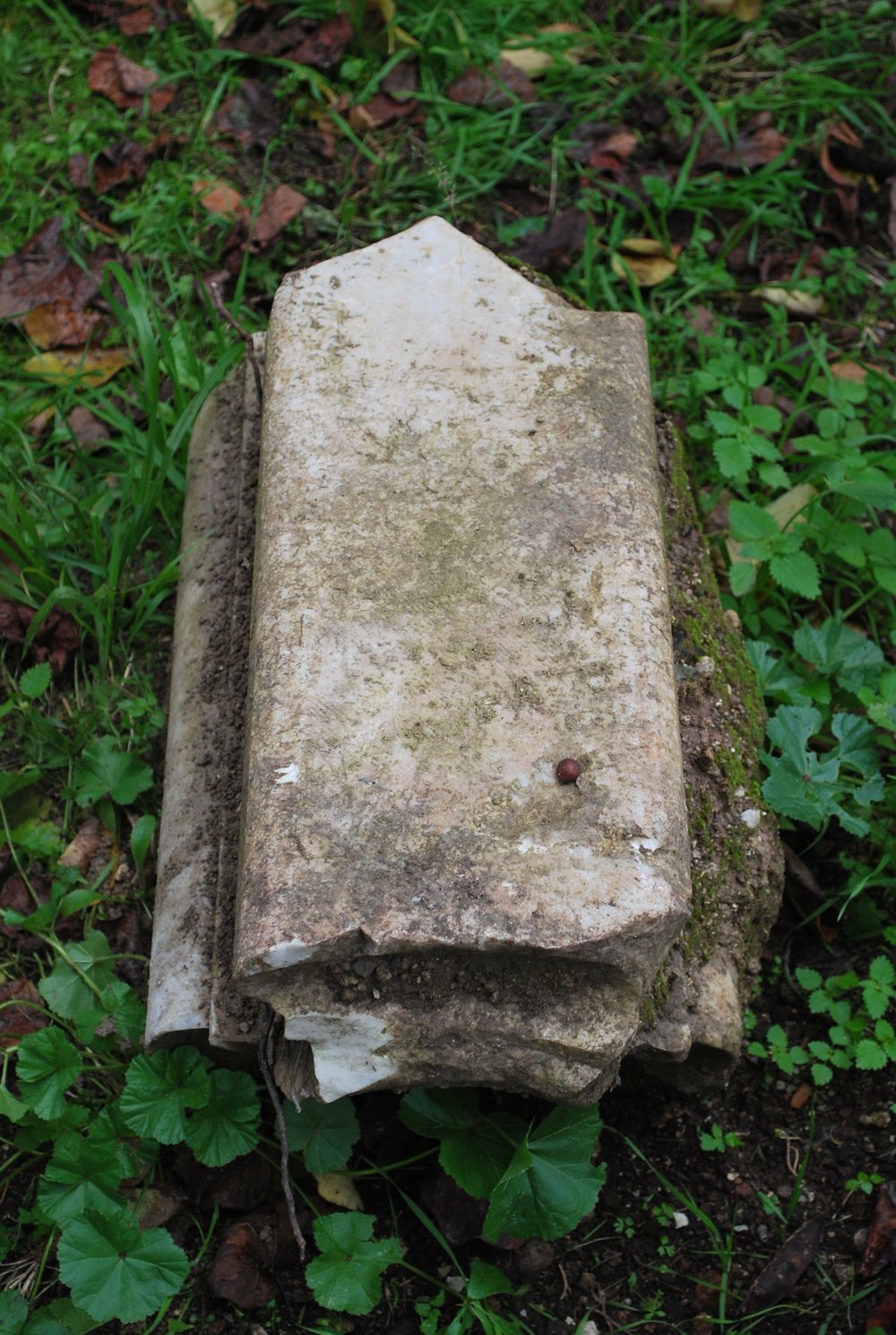 566771-2.jpg