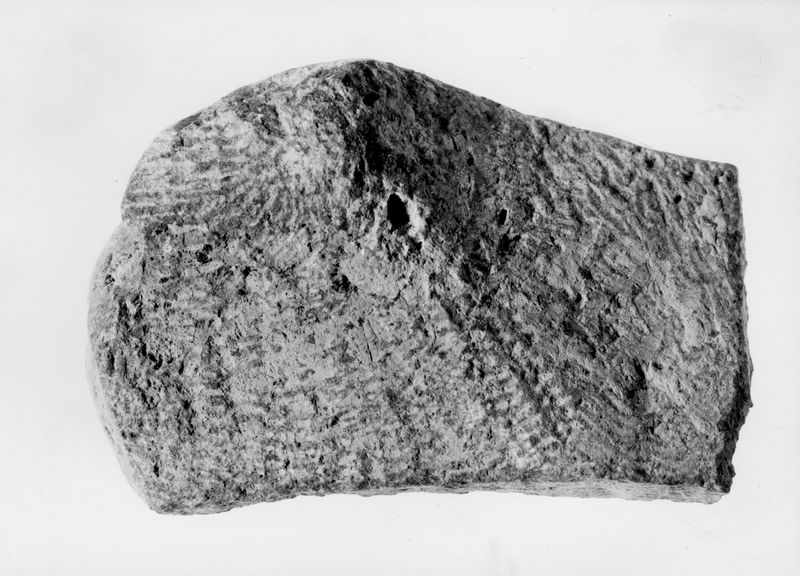 010403 - restauro - Foro Romano, arco di Settimio Severo lato Sud-Est: veduta dei ponteggi lignei particolare, restauri di G. Boni, (L.C-74)