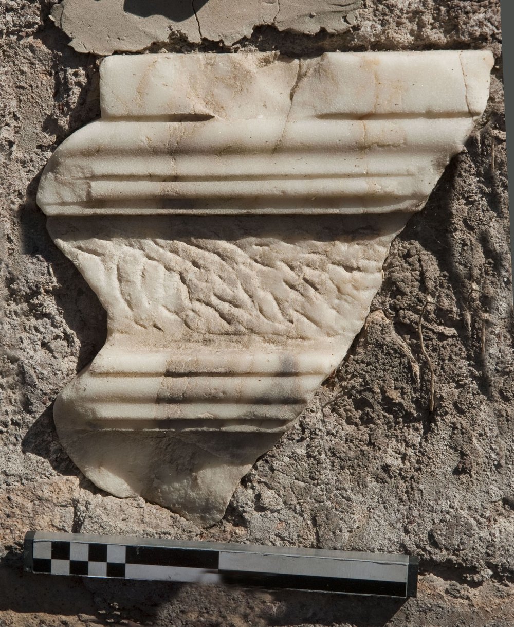 DSC_0525.JPG