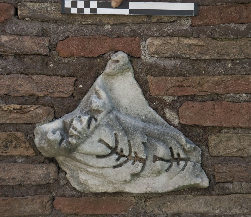 DSC_0516.JPG
