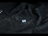 DSC_8530.NEF