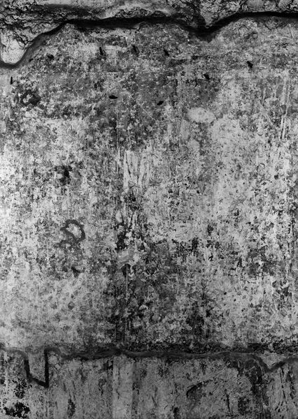 019211 - monumento - S. Maria Antiqua, cappella centrale, parete di destra, particolare; Neg. serie E, n. 51318