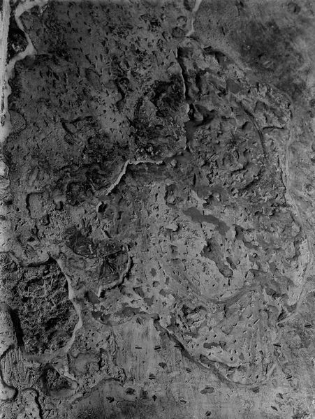 019241 - monumento - S. Maria Antiqua, catino dell'abside, lato sinistro, particolare; neg. serie C, n. 594