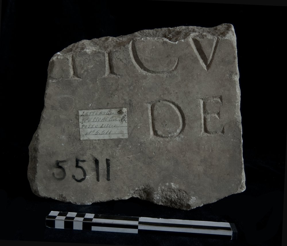 inv 5511.tif
