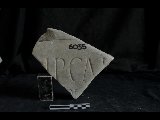 DSC_8355.NEF